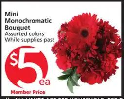 Albertsons Mini Monochromatic Bouquet offer