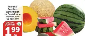 Albertsons Personal Seedless Watermelon or Cantaloupe offer