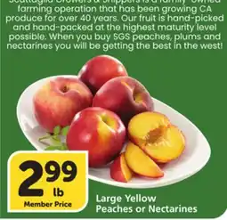Albertsons Large Yellow Peaches or Nectarines offer