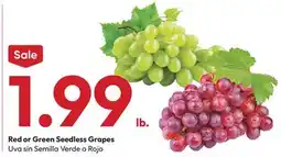 Stater Bros Red or Green Seedless Grapes offer