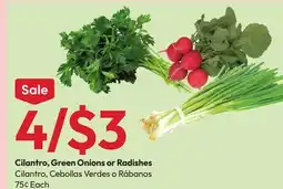 Stater Bros Cilantro, Green Onions or Radishes offer