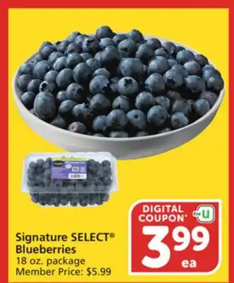 Vons Signature SELECT Blueberries offer