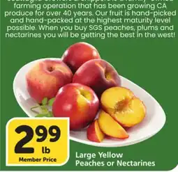 Vons Large Yellow Peaches or Nectarines offer