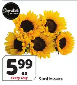 Vons Sunflowers offer