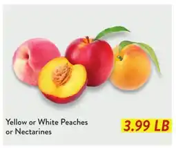 Fresh Thyme Yellow or White Peaches or Nectarines offer