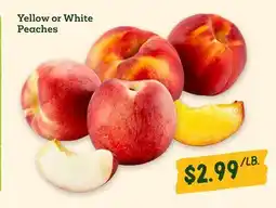 Sprouts Farmers Market Yellow or White Peaches offer