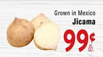 Rio Valley Market Jicama offer