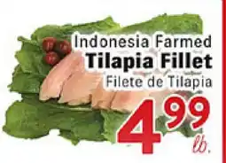 Rio Valley Market Indonesia Farmed Tilapia Fillet offer