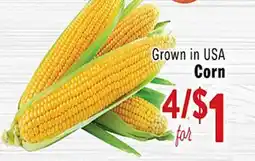 Rio Valley Market Corn offer