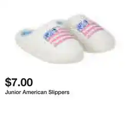 Five Below Junior American Slippers offer