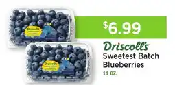 Heinen's Driscoll's Sweetest Batch Blueberries offer