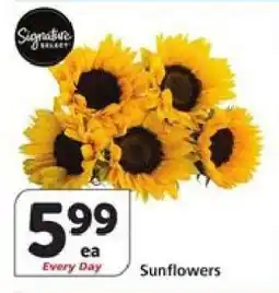 Albertsons Sunflowers offer