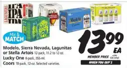 Safeway Modelo, Sierra Nevada, Lagunitas or Stella Artois offer