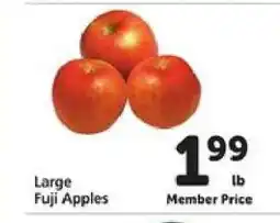 Safeway Large Fuji Apples offer