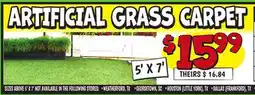 Ollie's ARTIFICIAL GRASS CARPET offer