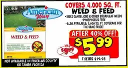 Ollie's AMERICAN WAY WEED & FEED offer