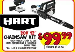 Ollie's 20V 12 CHAINSAW KIT offer