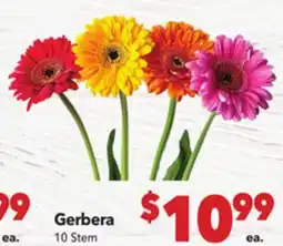 Vallarta Supermarkets Gerbera offer