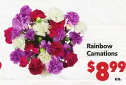 Vallarta Supermarkets Rainbow Carnations offer