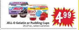 Foodmaxx JELL-O Gelatin or Pudding Cups offer