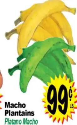 Superior Grocers Macho Plantains offer