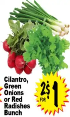 Superior Grocers Cilantro, Green Onions or Red Radishes Bunch offer