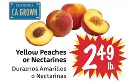 Foodmaxx Yellow Peaches or Nectarines offer