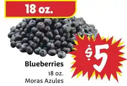 Foodmaxx Blueberries offer