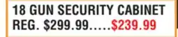 Dunham's Sports 18 GUN SECURITY CABINET offer