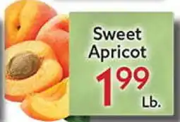 World Fresh Market Sweet Apricot offer