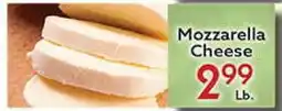 World Fresh Market Mozzarella Cheese offer