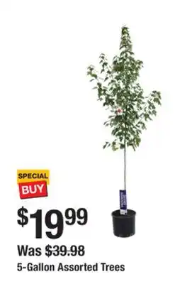 The Home Depot 5-Gallon Assorted Trees offer