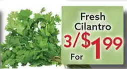 World Fresh Market Fresh Cilantro offer