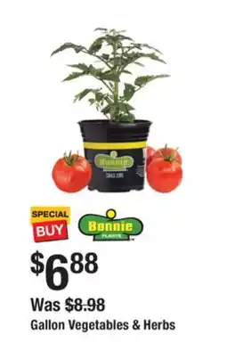 The Home Depot Gallon Vegetables & Herbs offer