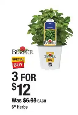 The Home Depot BURPEE 6 Herbs offer