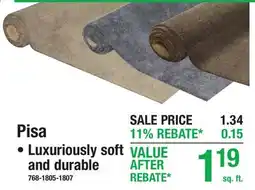 Menards Pisa Carpet offer