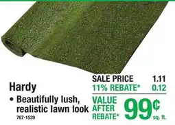 Menards Hardy Indoor/Outdoor Carpet offer