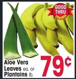 Jewel-Osco Aloe Vera Leaves or Plantains offer
