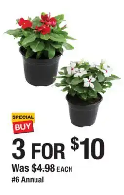 The Home Depot 6 Annual offer