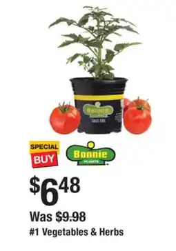The Home Depot 1 Vegetables & Herbs offer