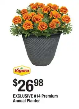 The Home Depot 14 Premium Annual Planter offer