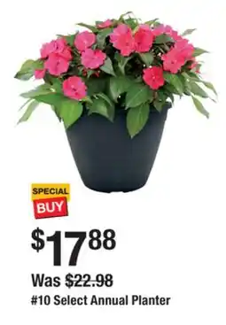 The Home Depot 10 Select Annual Planter offer