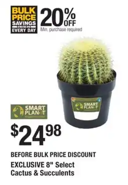 The Home Depot SMART PLANET8 Select Cactus & Succulents offer