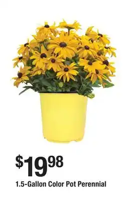 The Home Depot 1.5-Gallon Color Pot Perennial offer