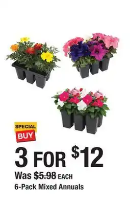 The Home Depot 6-Pack Mixed Annuals offer