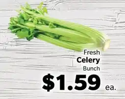 Living Fresh Market Fresh Celery offer