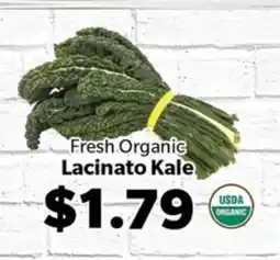Living Fresh Market Fresh Organic Lacinato Kale offer