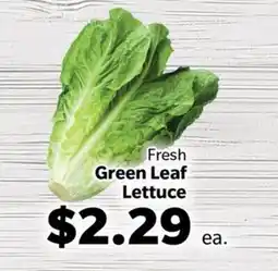 Living Fresh Market Fresh Green Leaf Lettuce offer