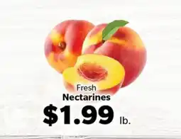 Living Fresh Market Fresh Nectarines offer