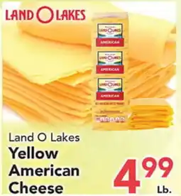 Eurofresh Market Land O Lakes Yellow American Cheese offer